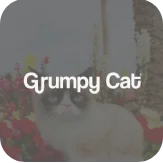 Grumpy Cat